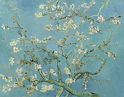 Vincent Van Gogh, Amandier en fleurs, février 1890